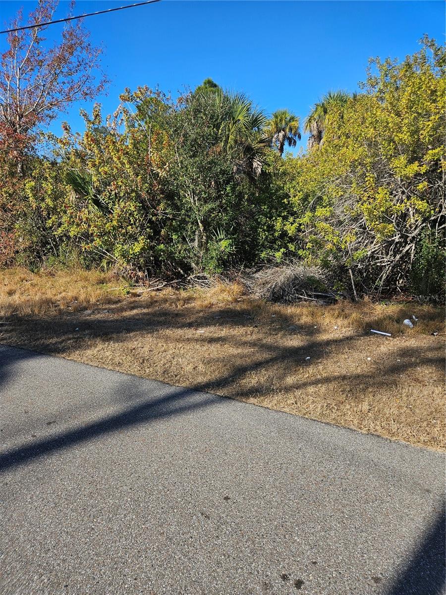 Image 7 of 12 For 553 Hoffer Street