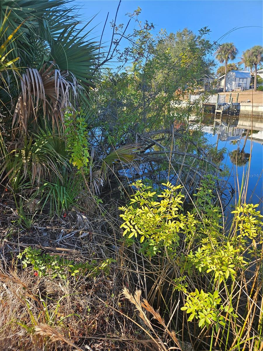 Image 8 of 12 For 553 Hoffer Street