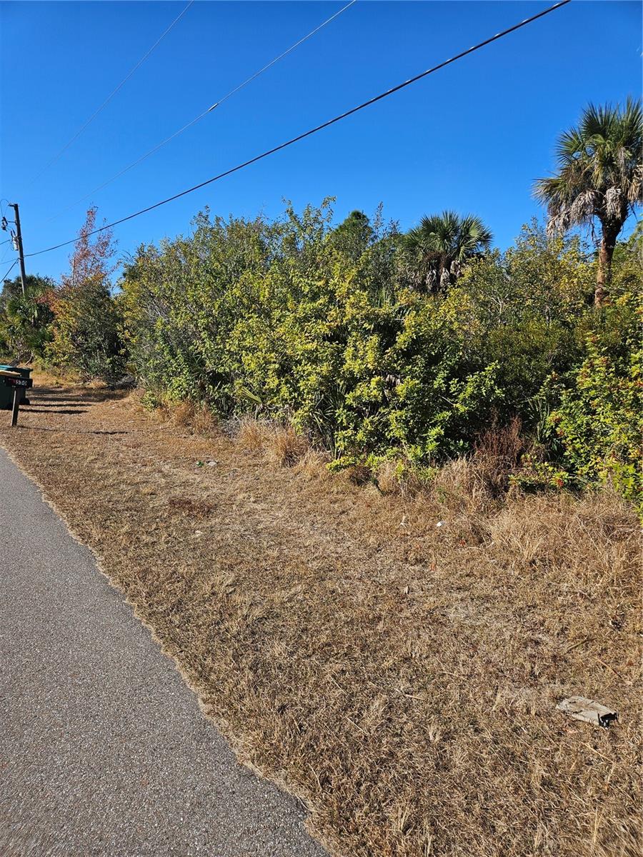 Image 9 of 12 For 553 Hoffer Street