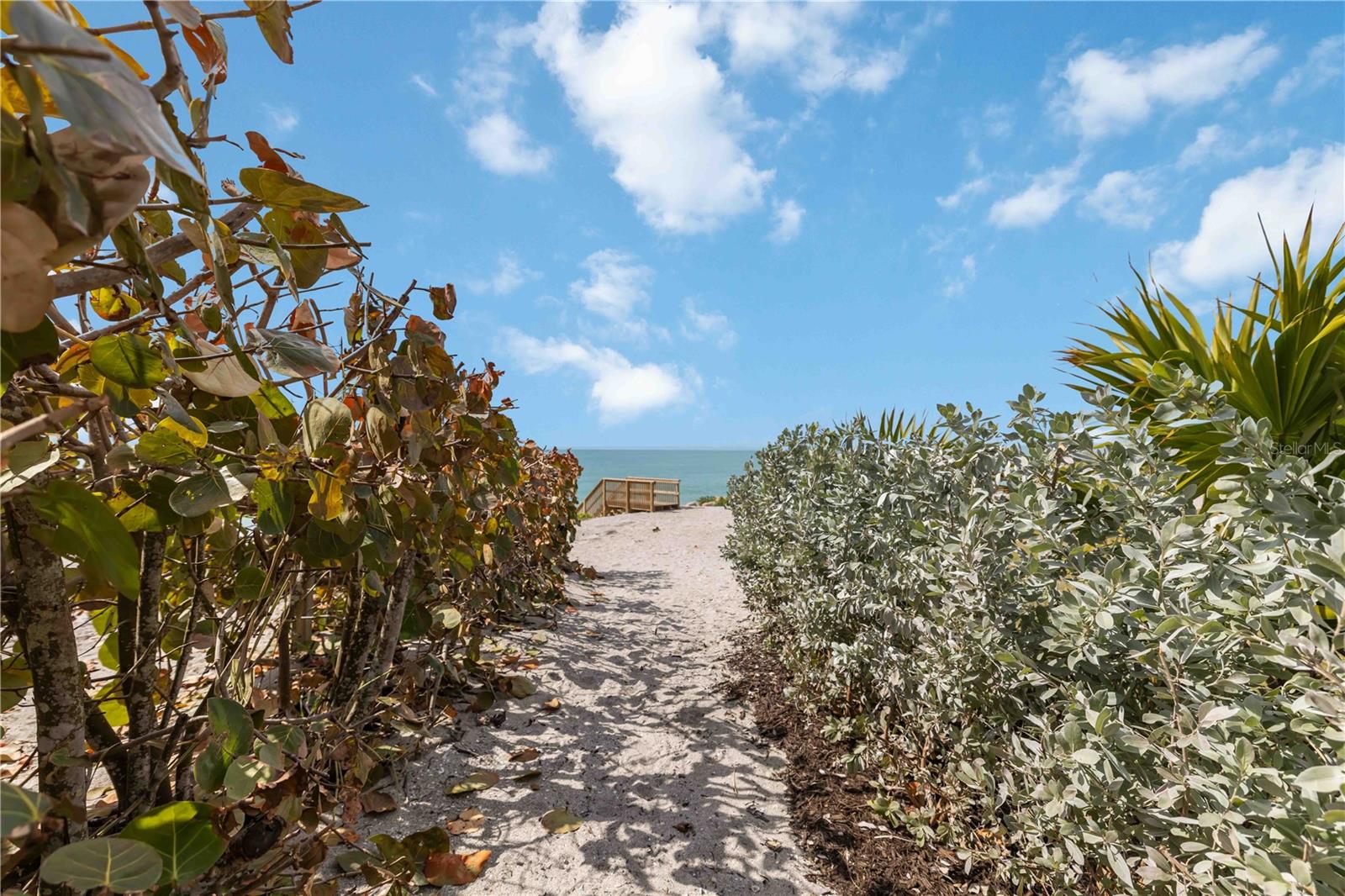 Image 48 of 60 For 7795 Manasota Key Road