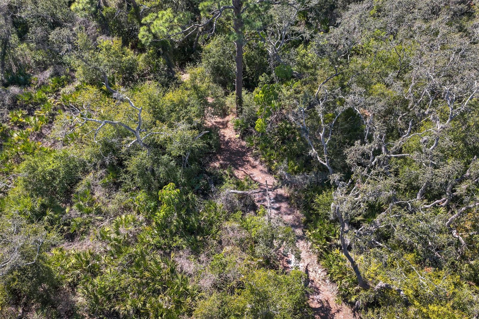 Image 44 of 46 For 1697 Brookhouse Circle 116