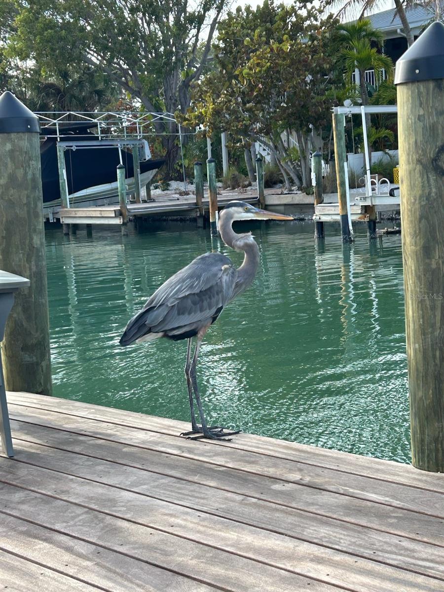 Image 82 of 88 For 170 Mockingbird Lane