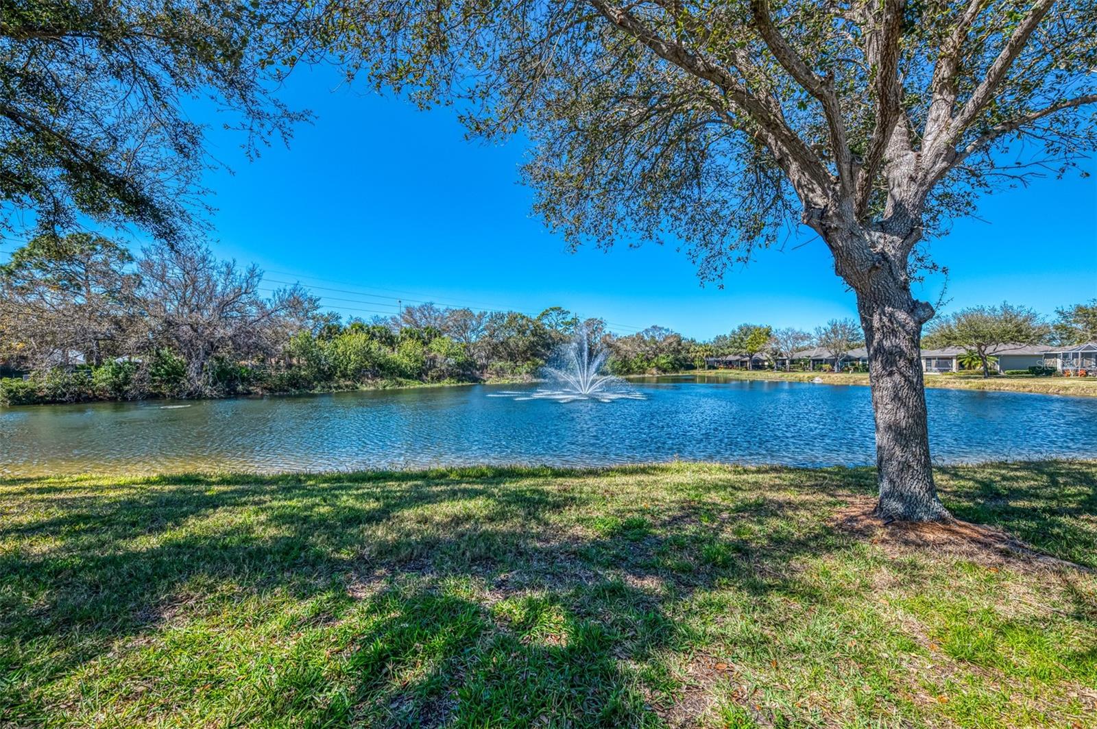 Image 51 of 83 For 9113 Coachman Drive