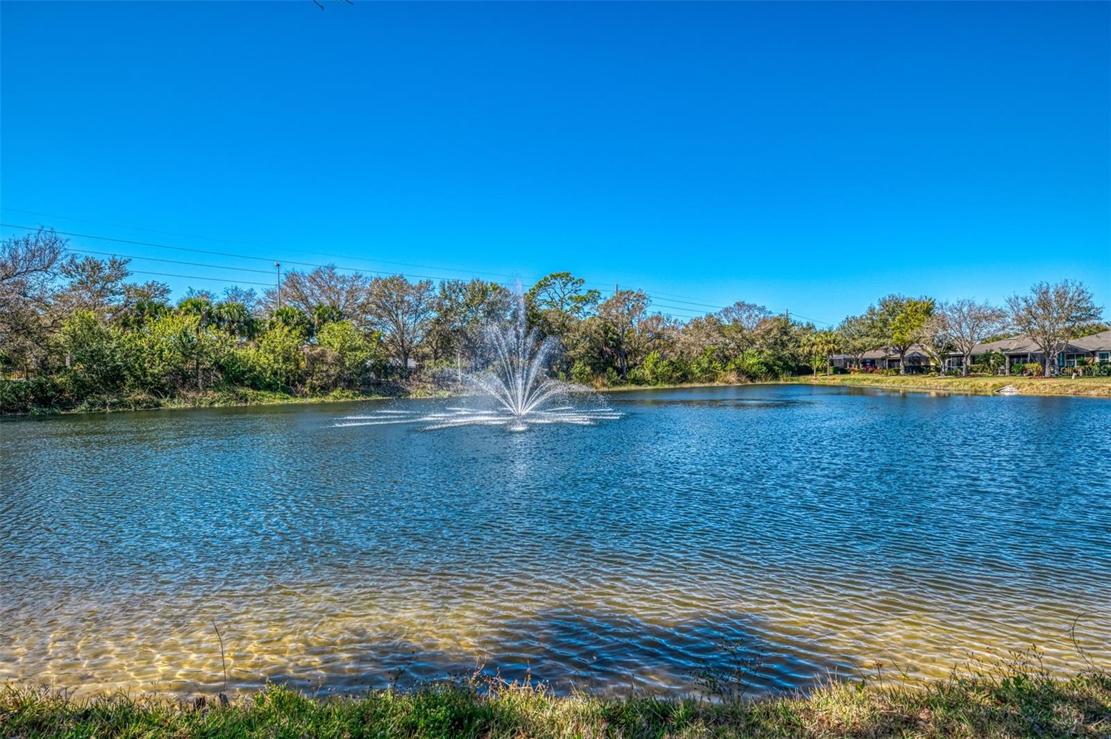 Image 52 of 83 For 9113 Coachman Drive