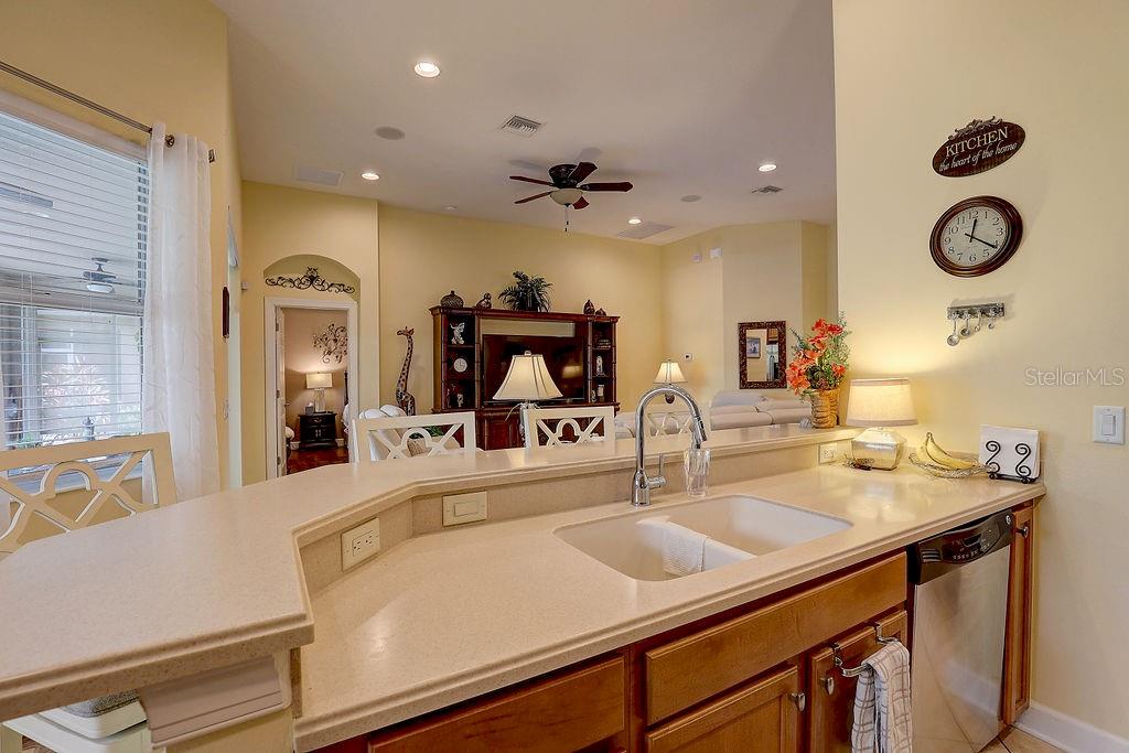 Image 17 of 88 For 2542 Cortenova Court