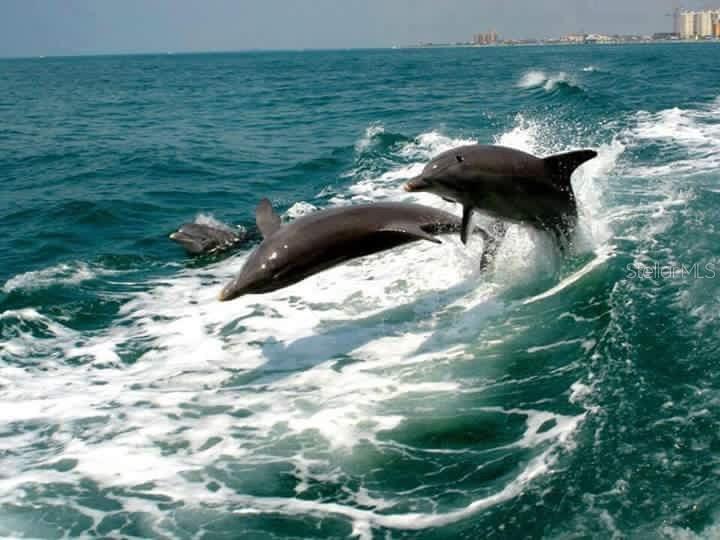 Image 75 of 88 For 2542 Cortenova Court