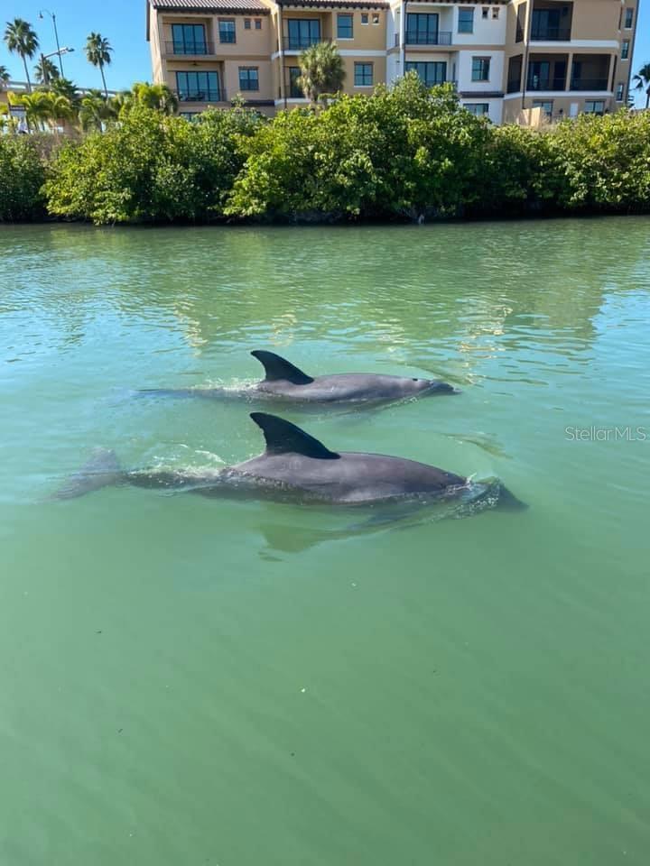 Image 76 of 88 For 2542 Cortenova Court