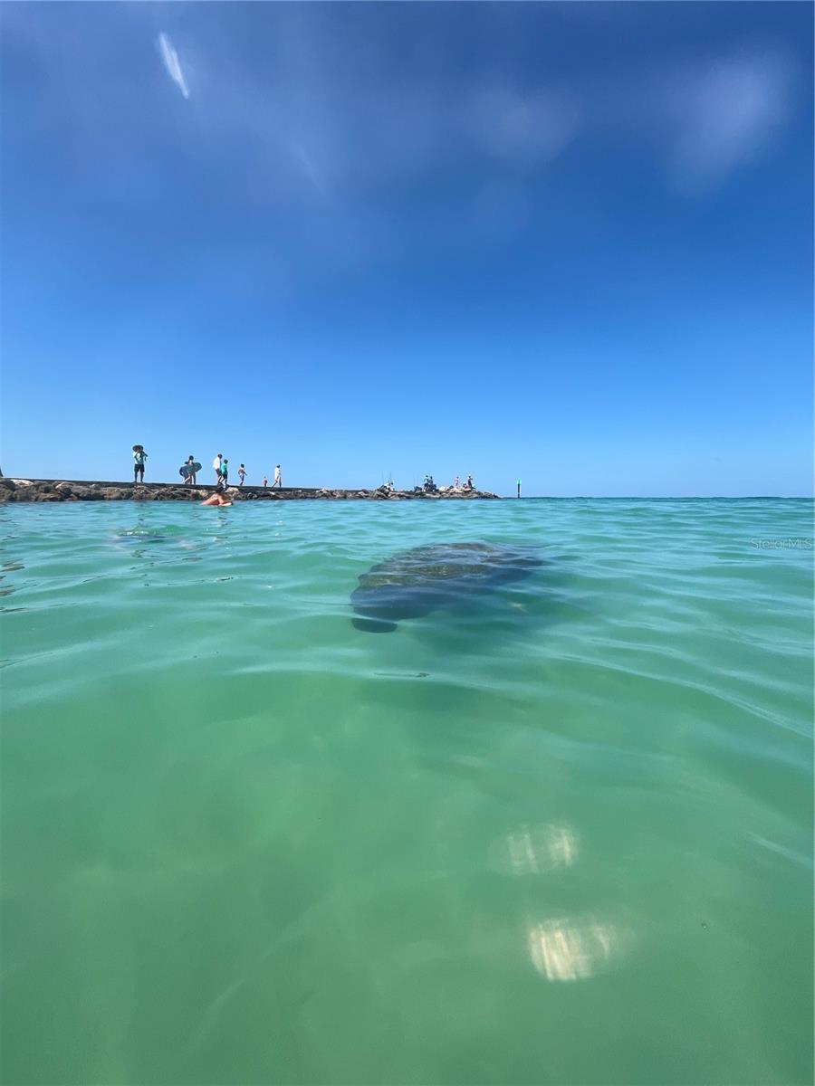 Image 78 of 88 For 2542 Cortenova Court