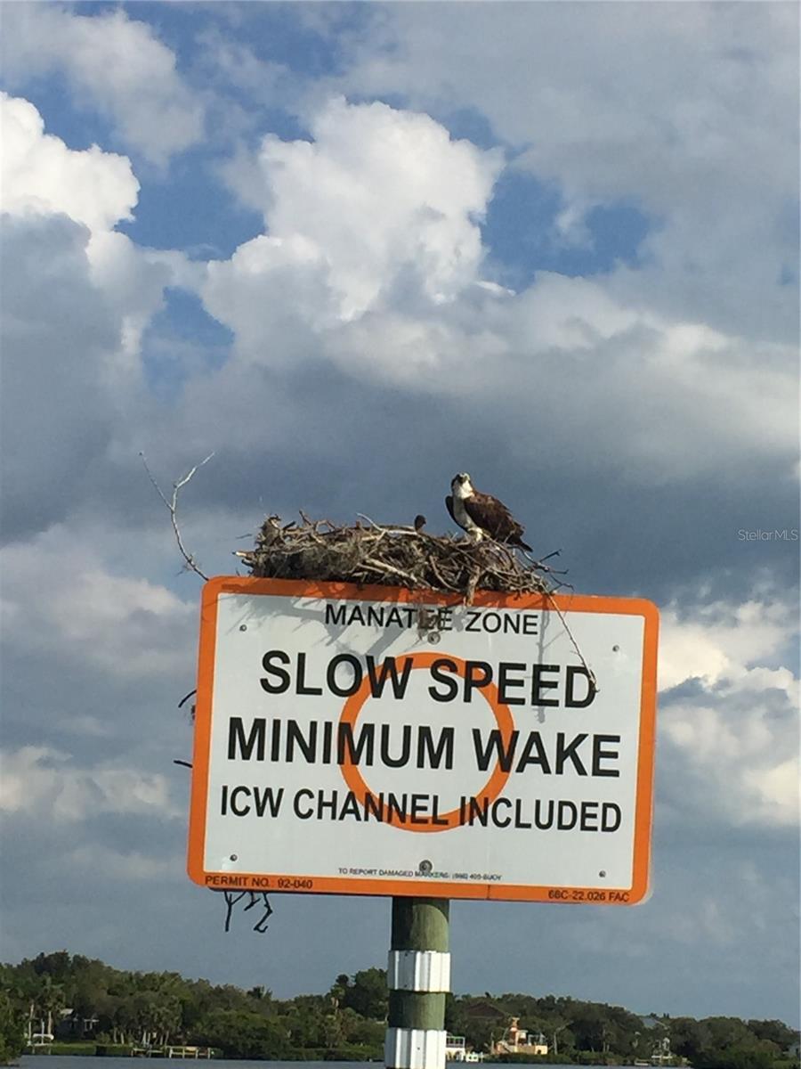 Image 80 of 88 For 2542 Cortenova Court