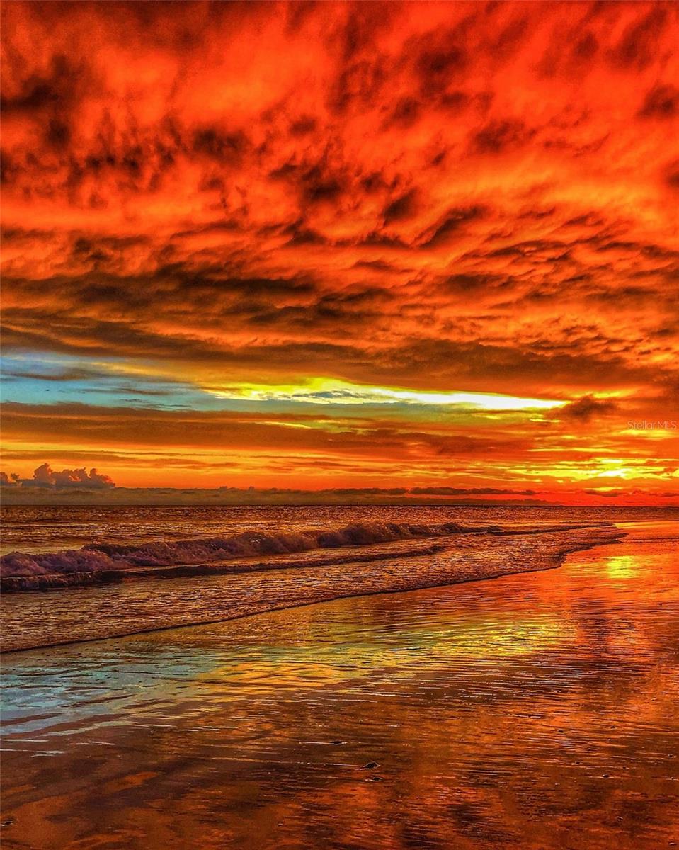 Image 88 of 88 For 2542 Cortenova Court