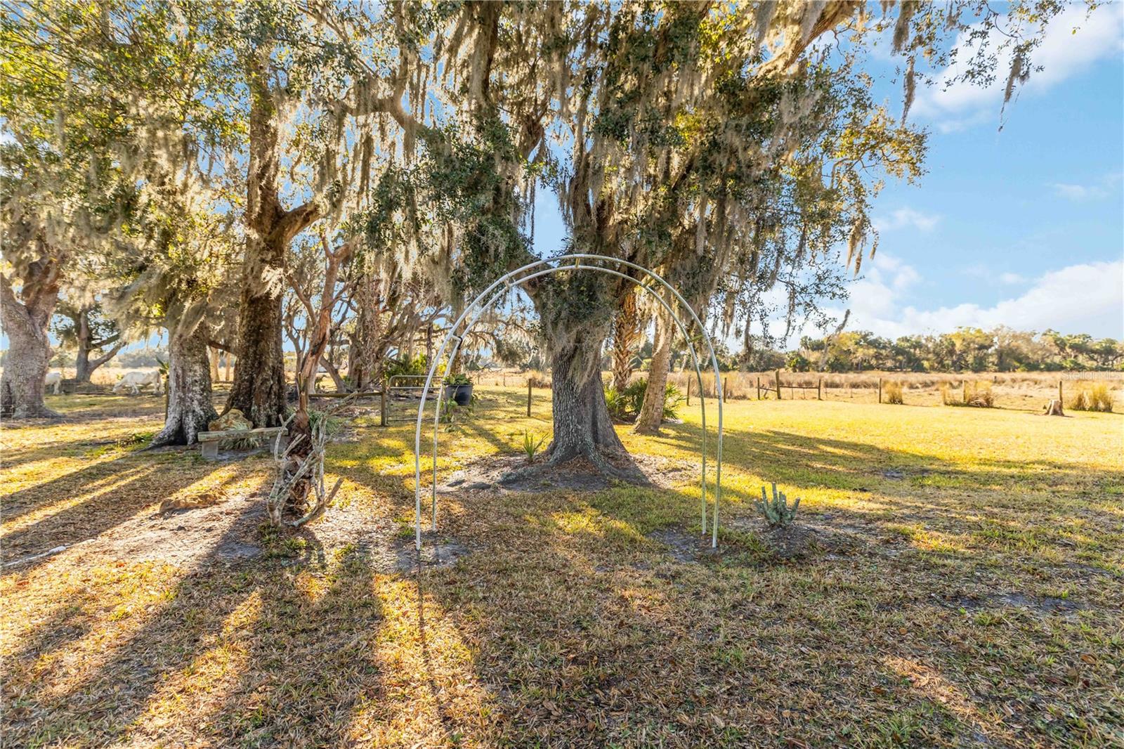 Image 43 of 67 For 12241 Gordon Hay Road