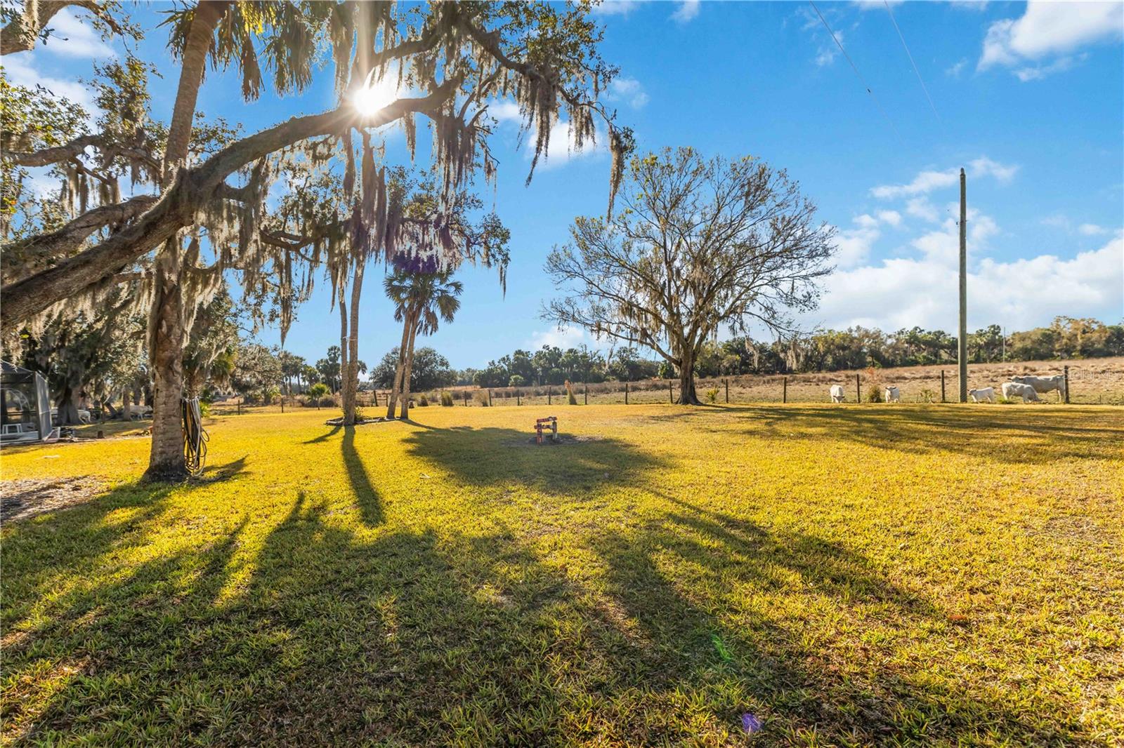 Image 49 of 67 For 12241 Gordon Hay Road