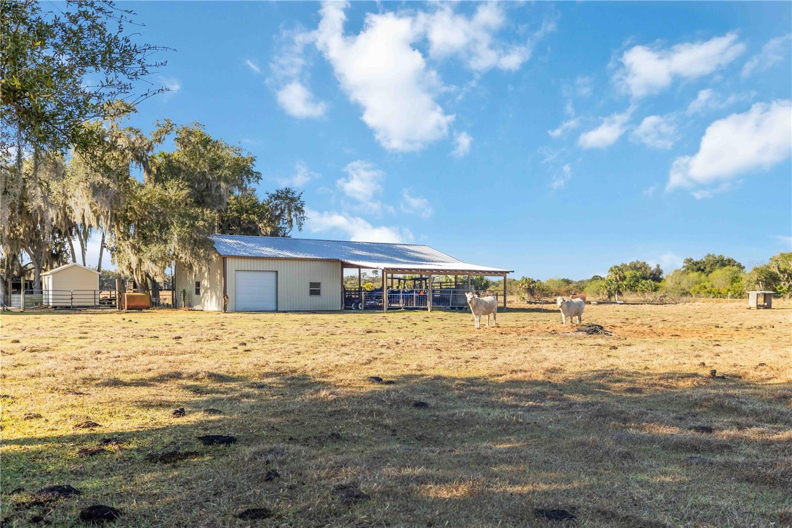 Image 50 of 67 For 12241 Gordon Hay Road