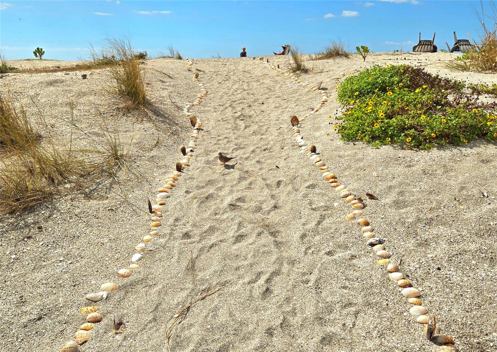 Image 41 of 56 For 333 The Esplanade N 102