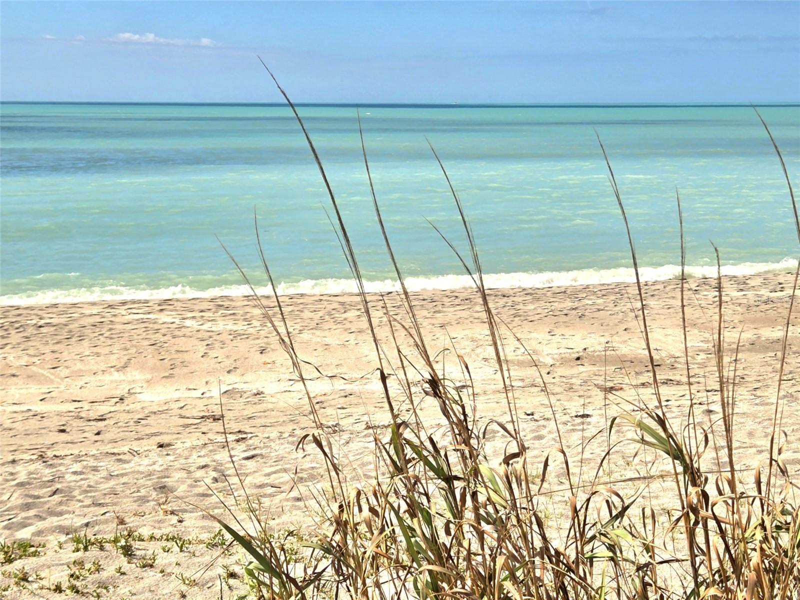 Image 42 of 56 For 333 The Esplanade N 102