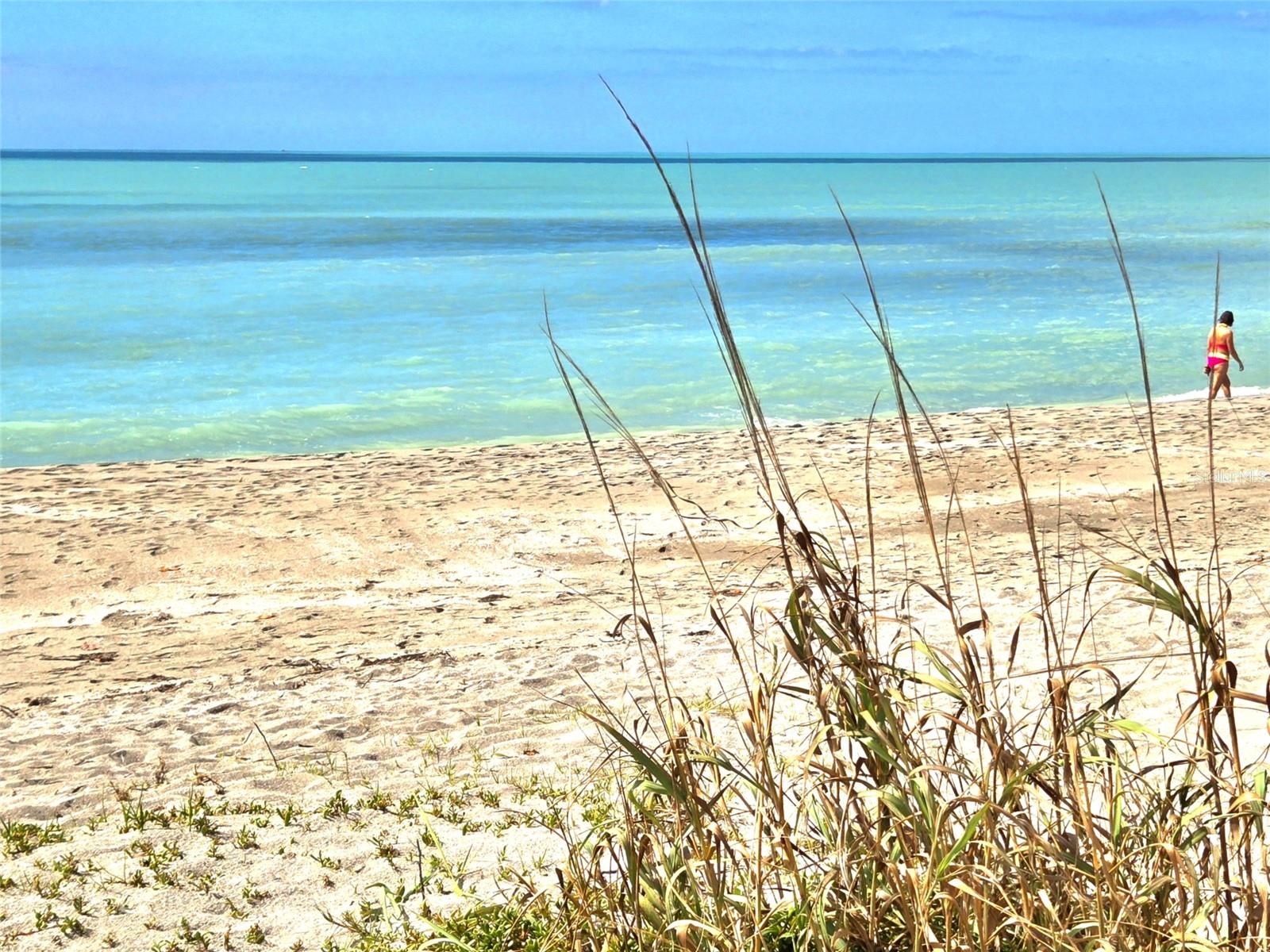 Image 43 of 56 For 333 The Esplanade N 102