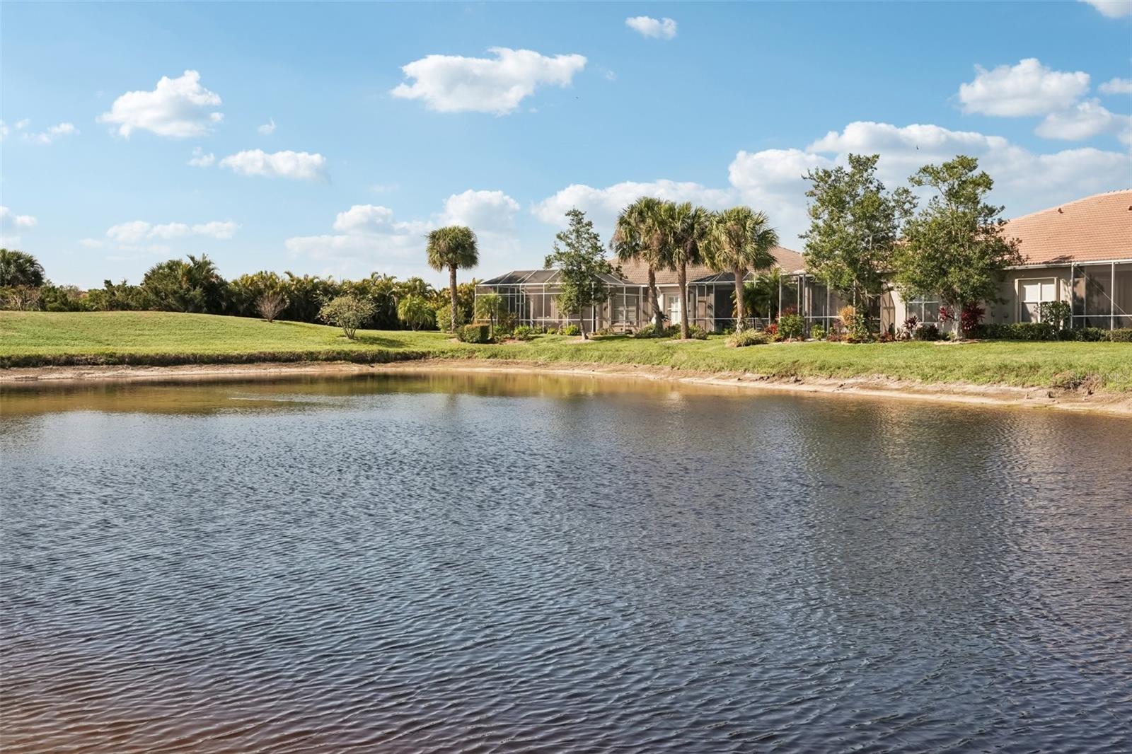 Image 29 of 61 For 8340 Palmetto Court