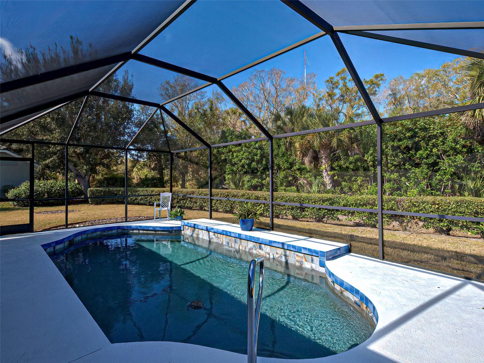 Image 33 of 45 For 201 King Palm Court