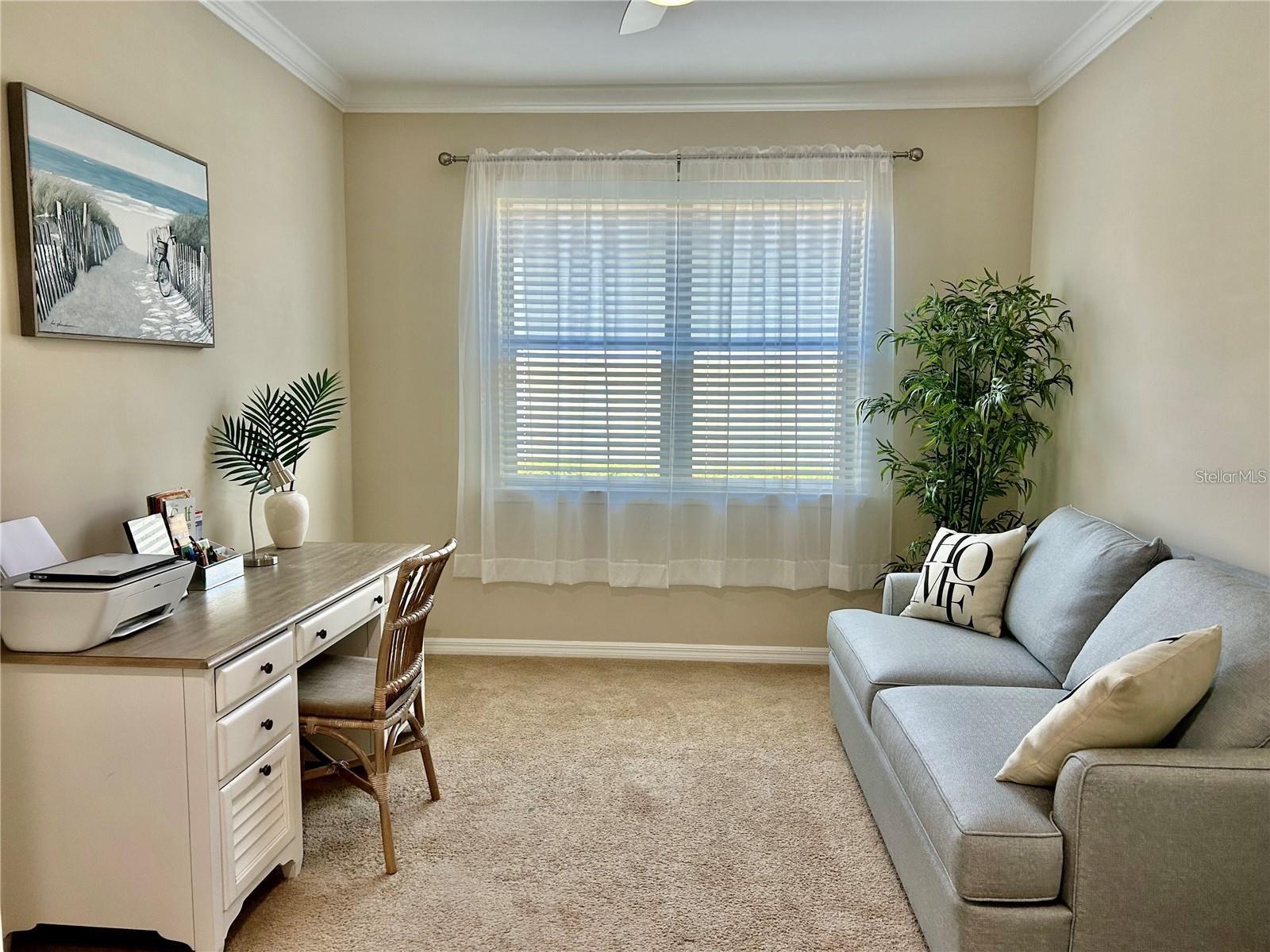 Image 12 of 27 For 255 Maraviya Boulevard