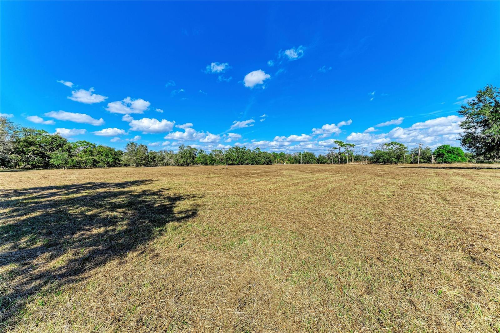 Image 12 of 24 For  Lena Lane 