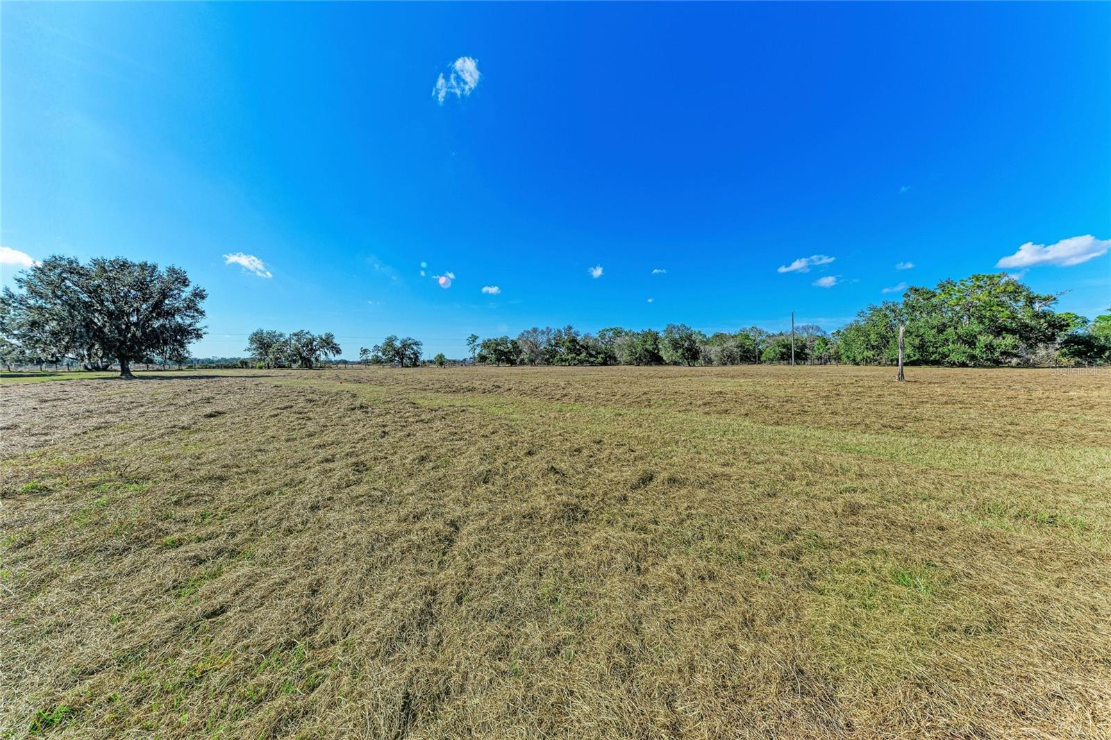 Image 13 of 24 For  Lena Lane 