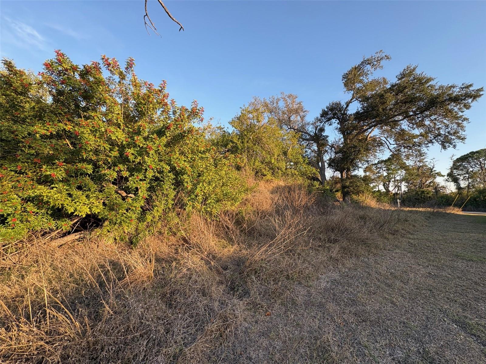 Image 4 of 10 For 13333 Palau Circle