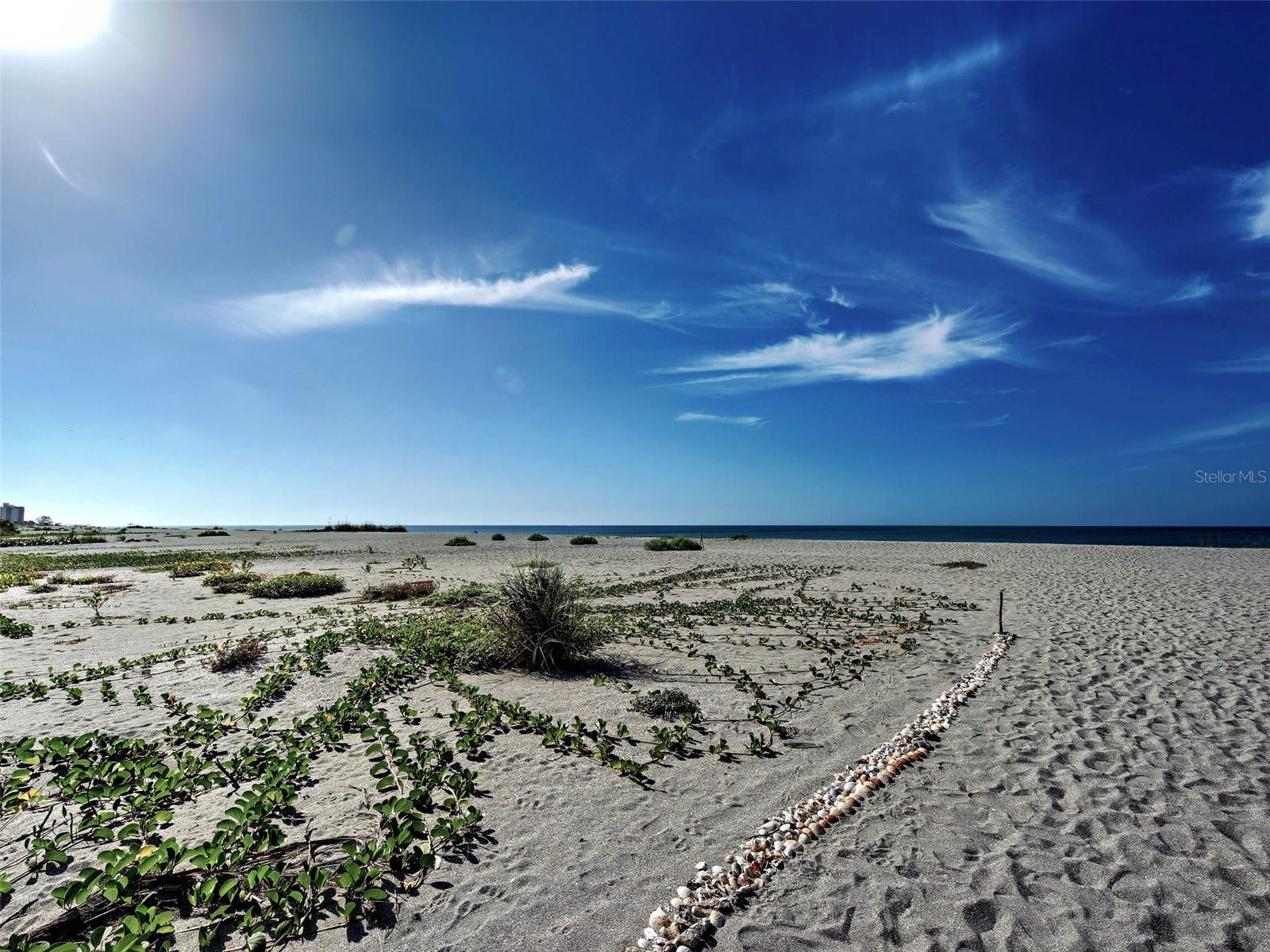 Image 4 of 54 For 1100 Tarpon Center Drive 202