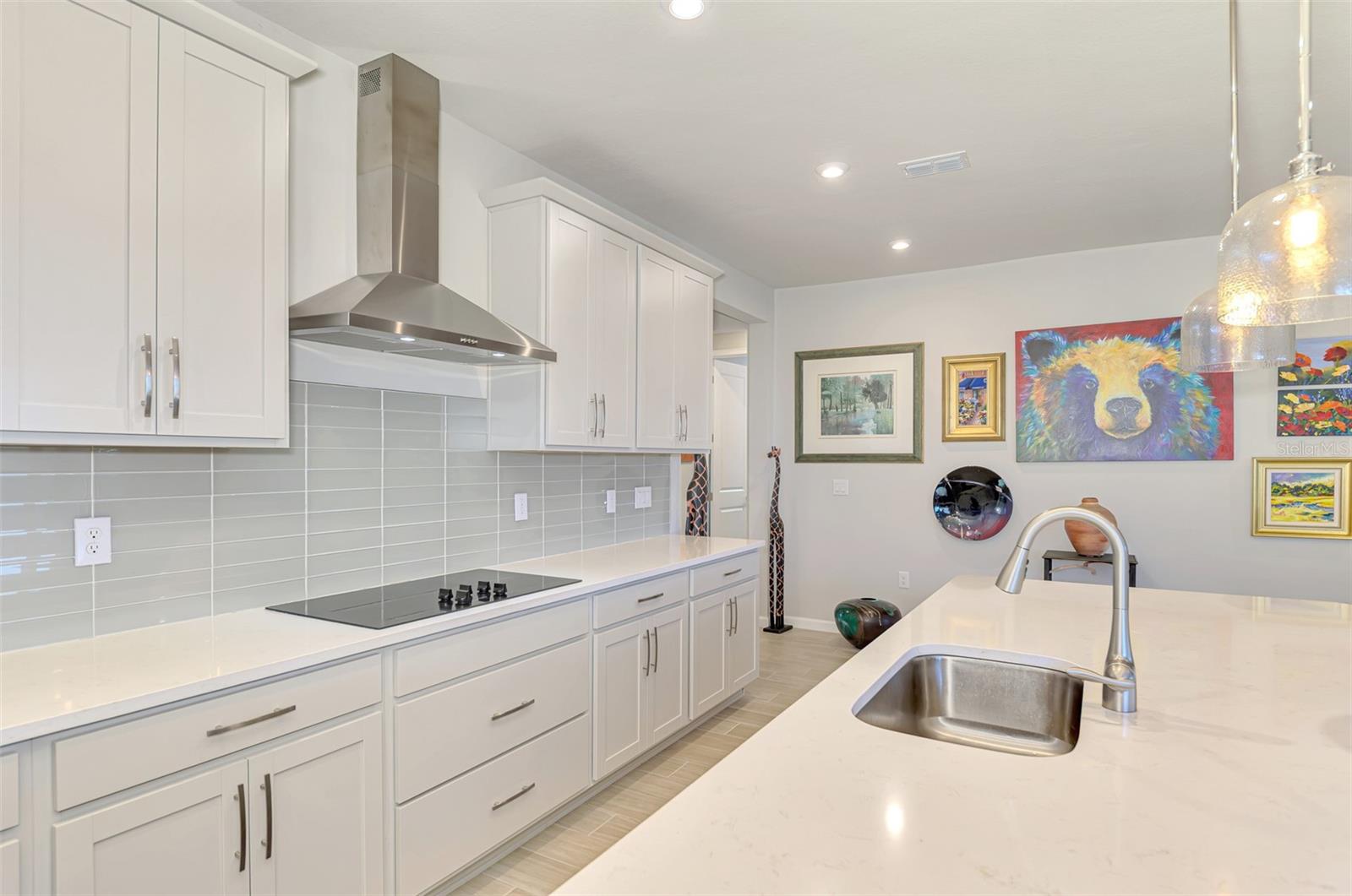 Image 19 of 100 For 11647 Myakka Blue Drive