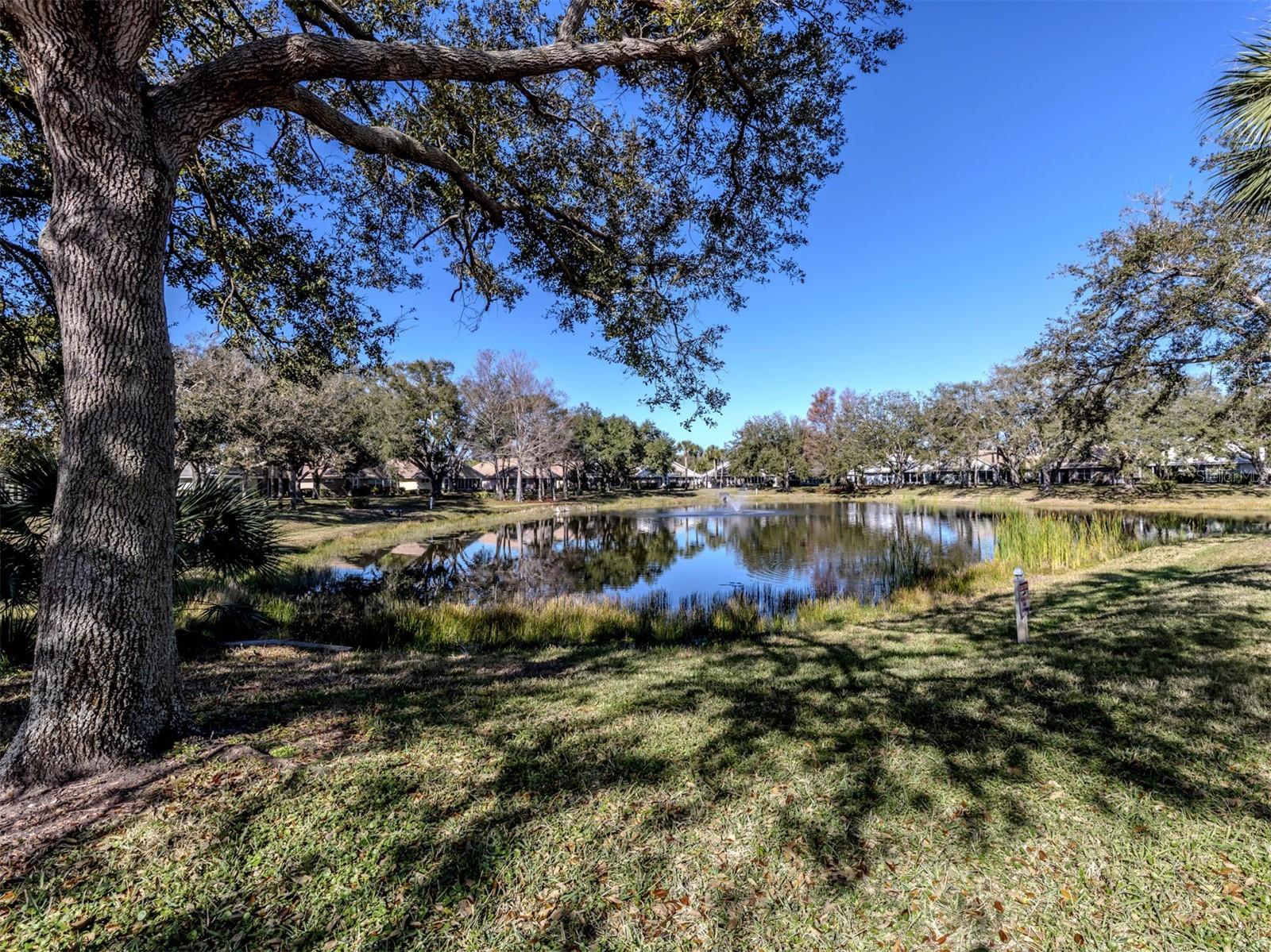 Image 41 of 80 For 575 Clubside Circle 35