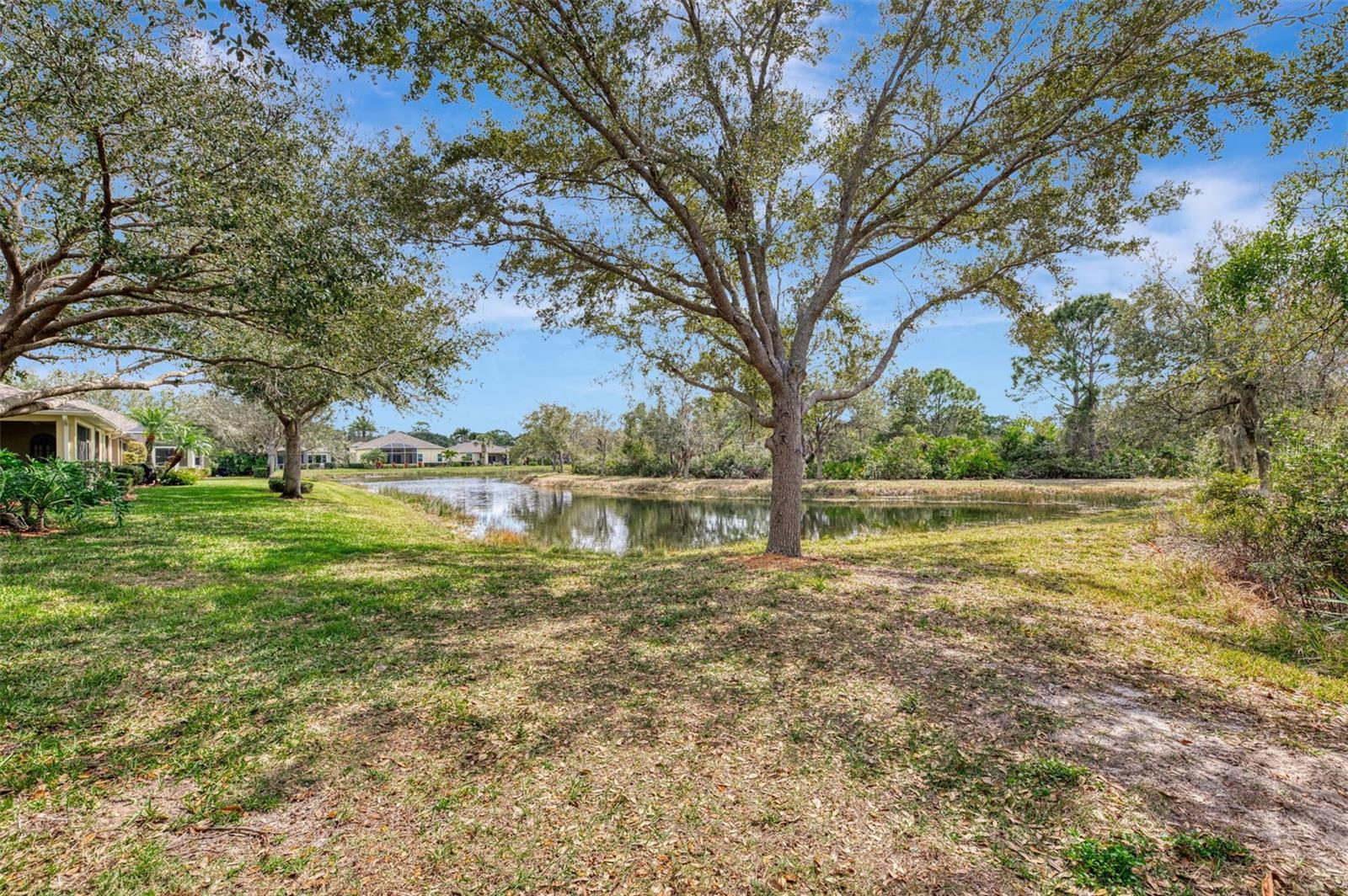 Image 47 of 95 For 9367 Carnaby Drive