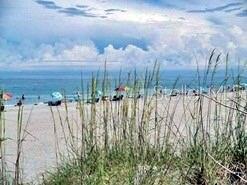 Image 86 of 95 For 9367 Carnaby Drive