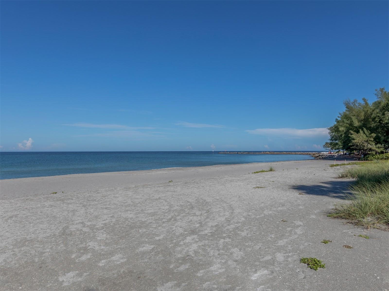 Image 42 of 75 For 1555 Tarpon Center Drive 242