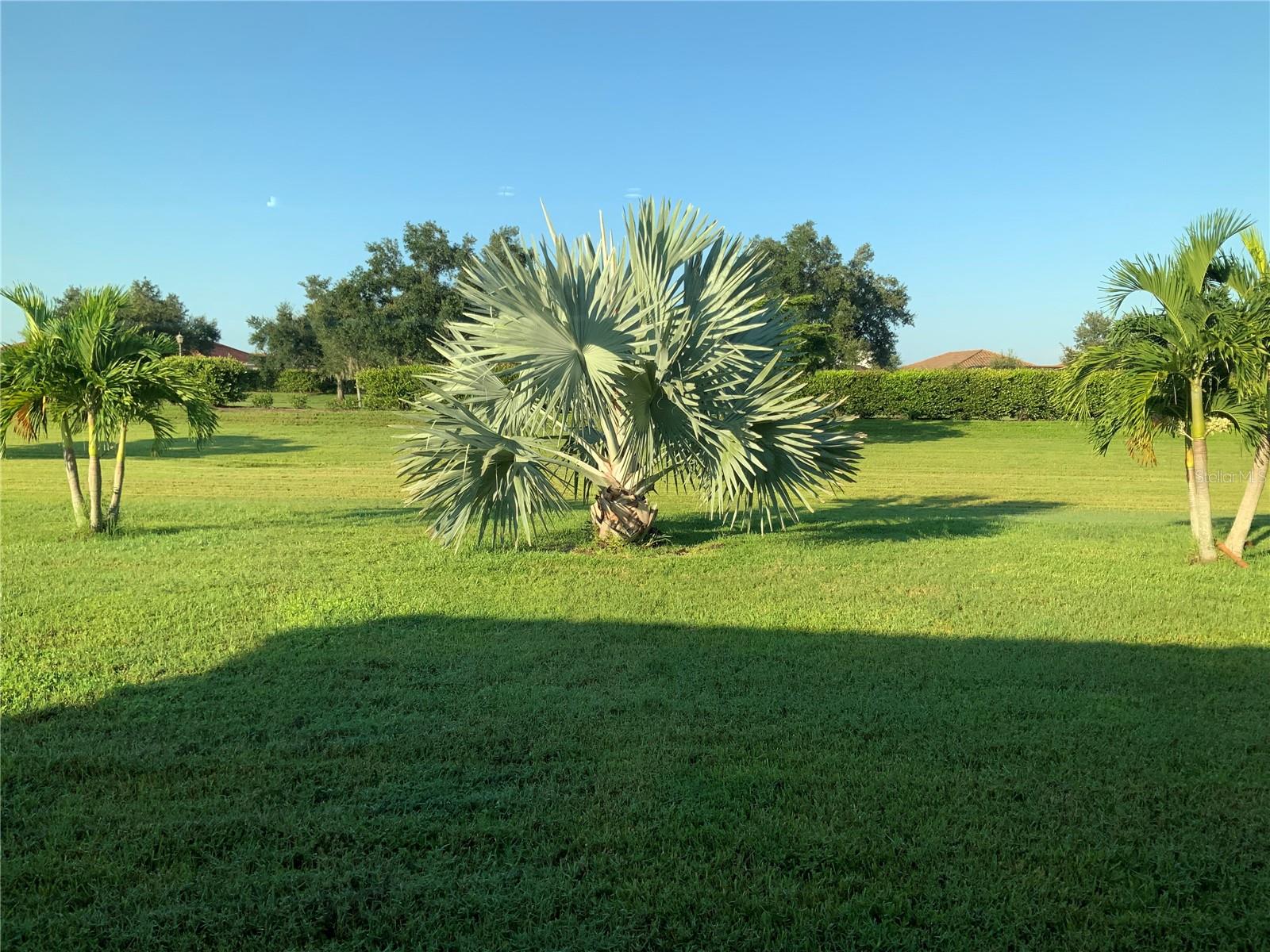 Image 8 of 18 For 20675 Romagna Place