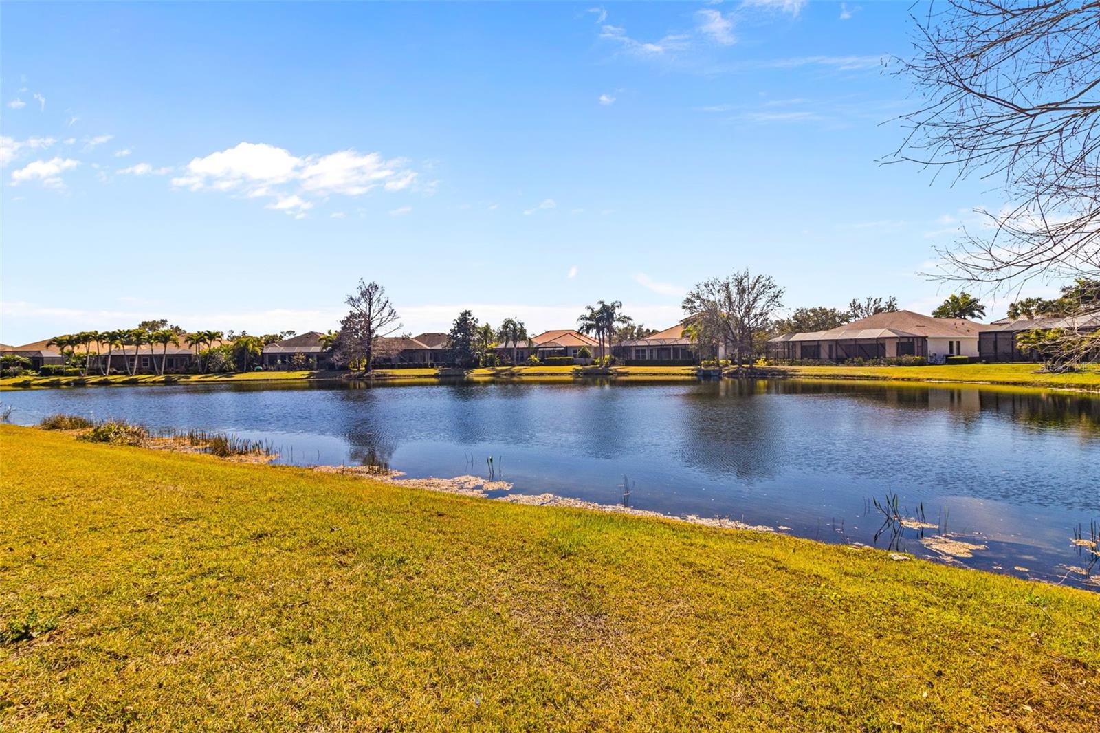 Image 47 of 63 For 14316 Silver Trout Drive