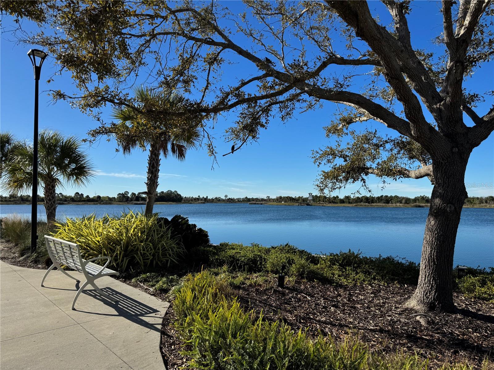 Listing photo id 79 for 20123 Passagio Drive