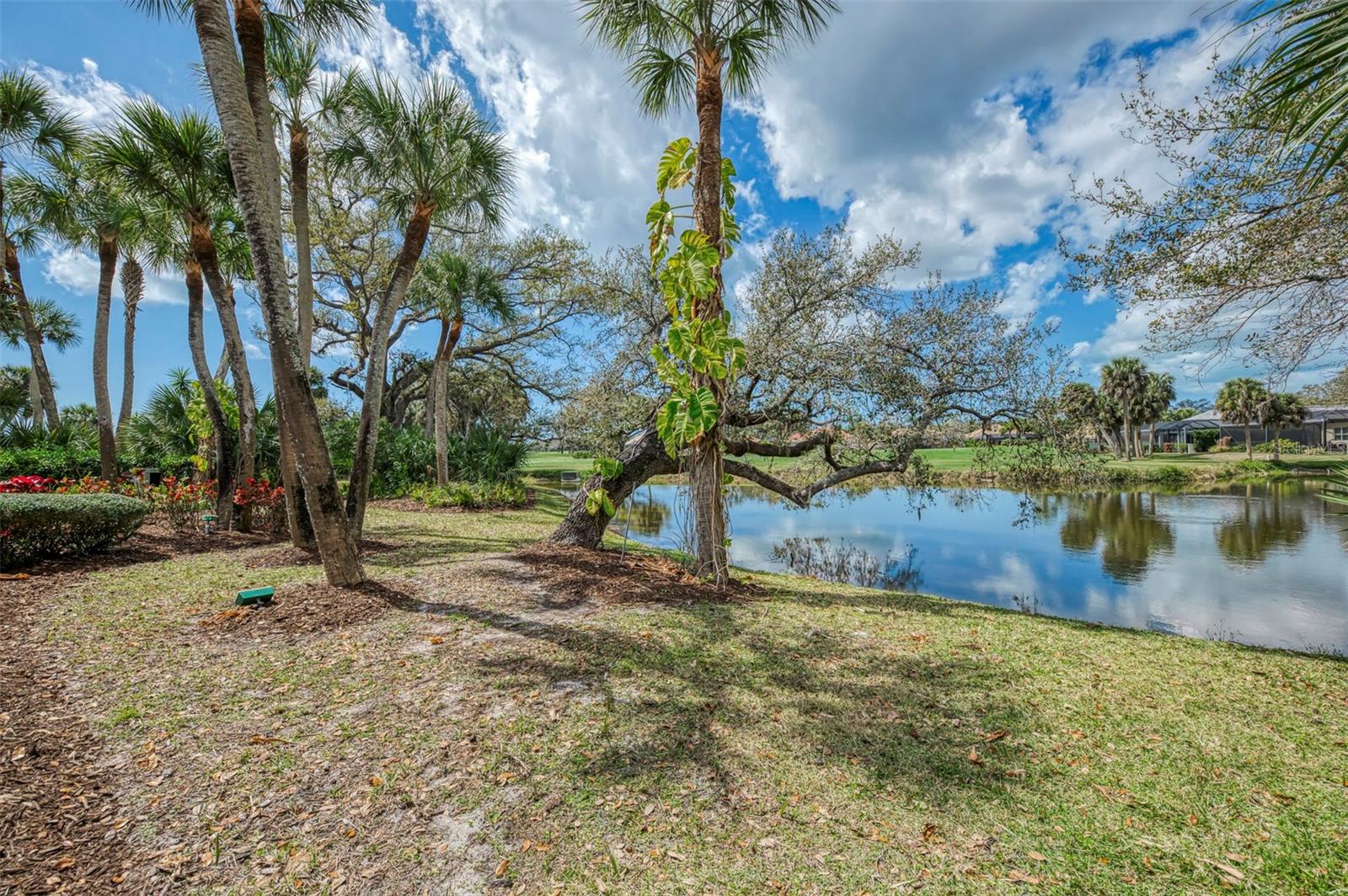 Image 61 of 92 For 9 Saint John Boulevard