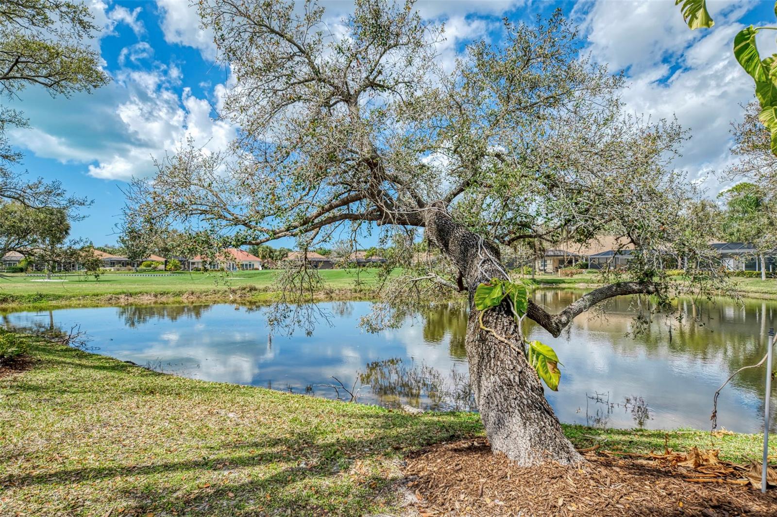 Image 62 of 92 For 9 Saint John Boulevard