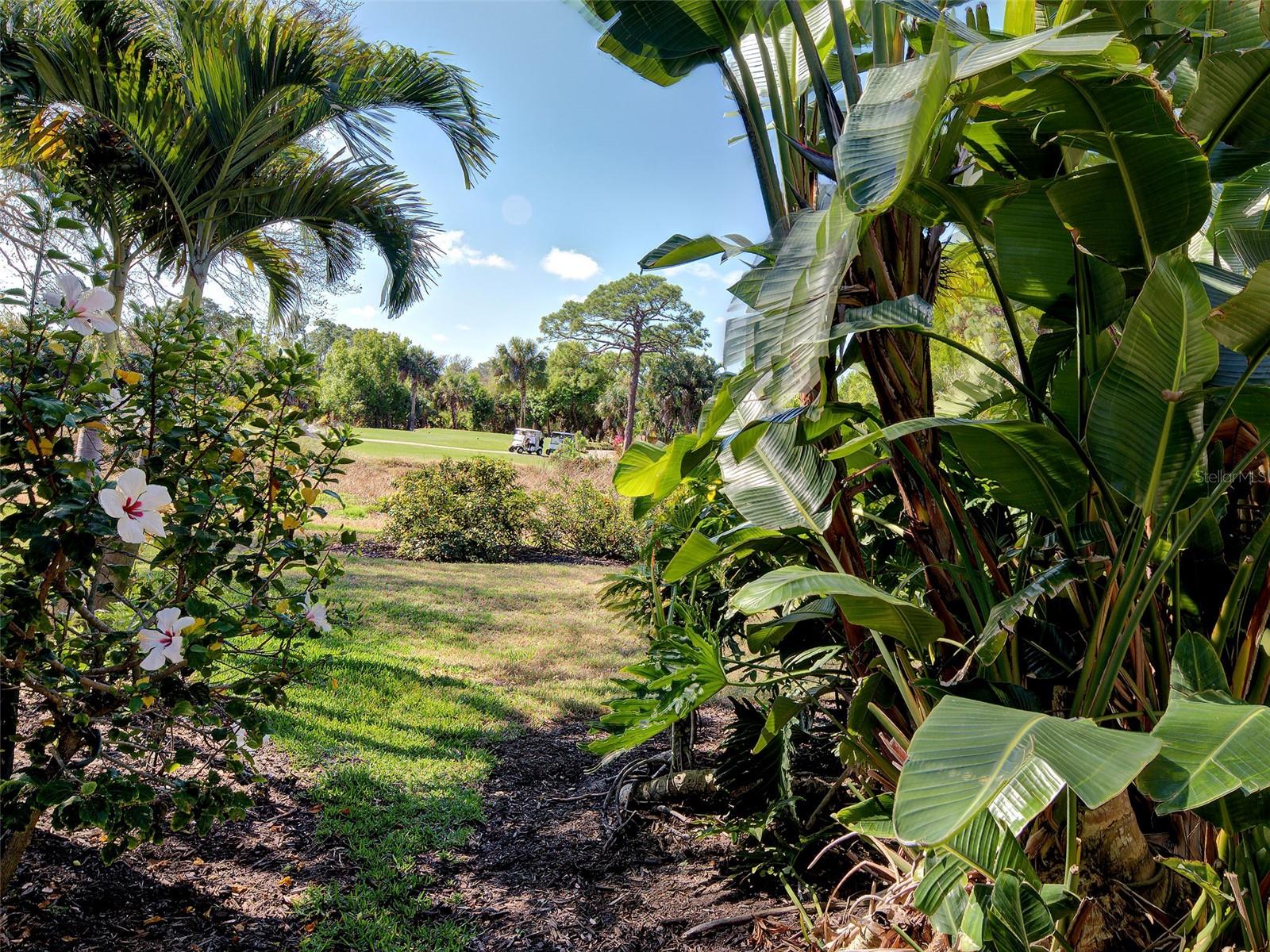 Image 49 of 77 For 311 Lansbrook Drive