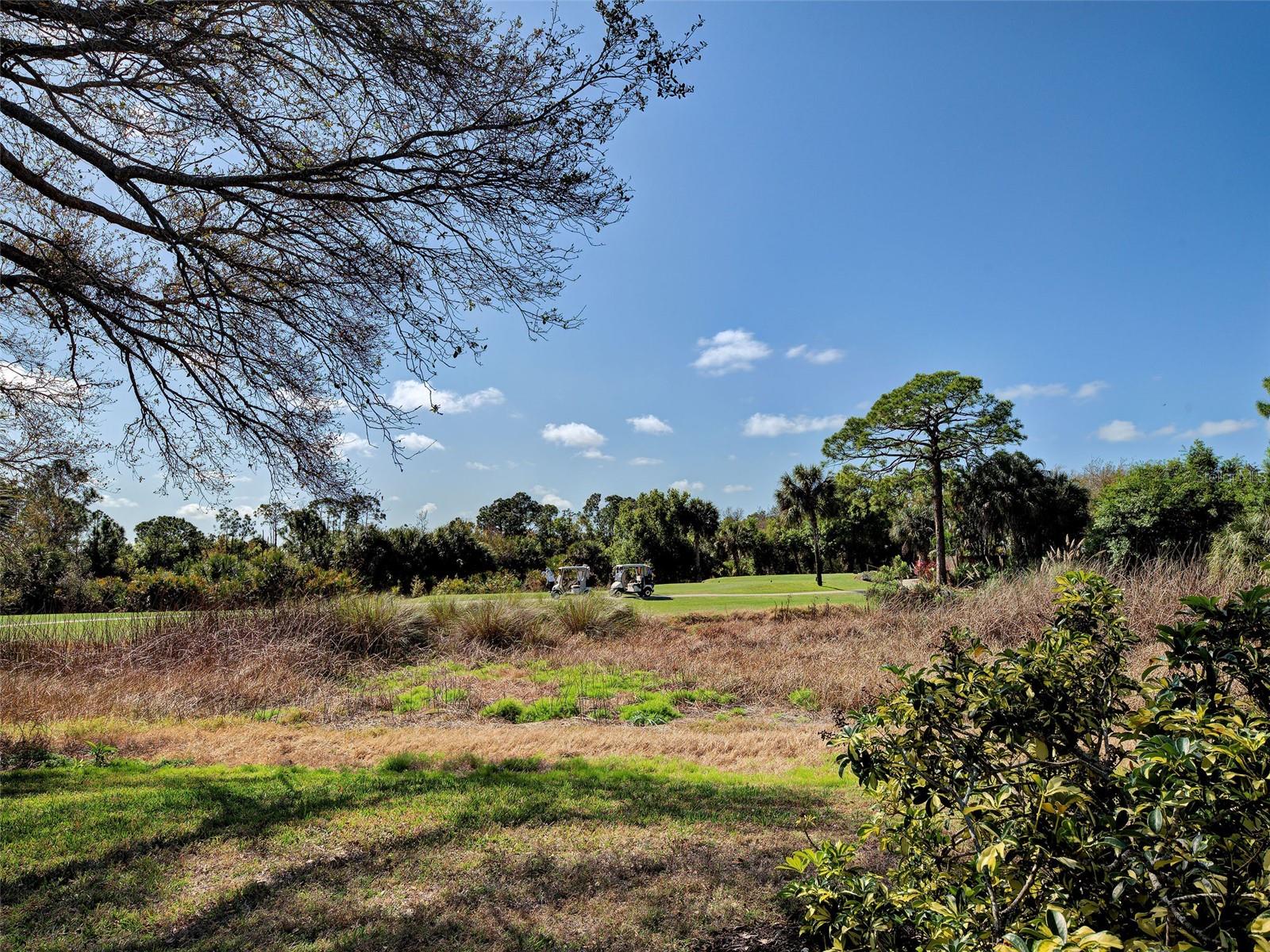 Image 50 of 77 For 311 Lansbrook Drive