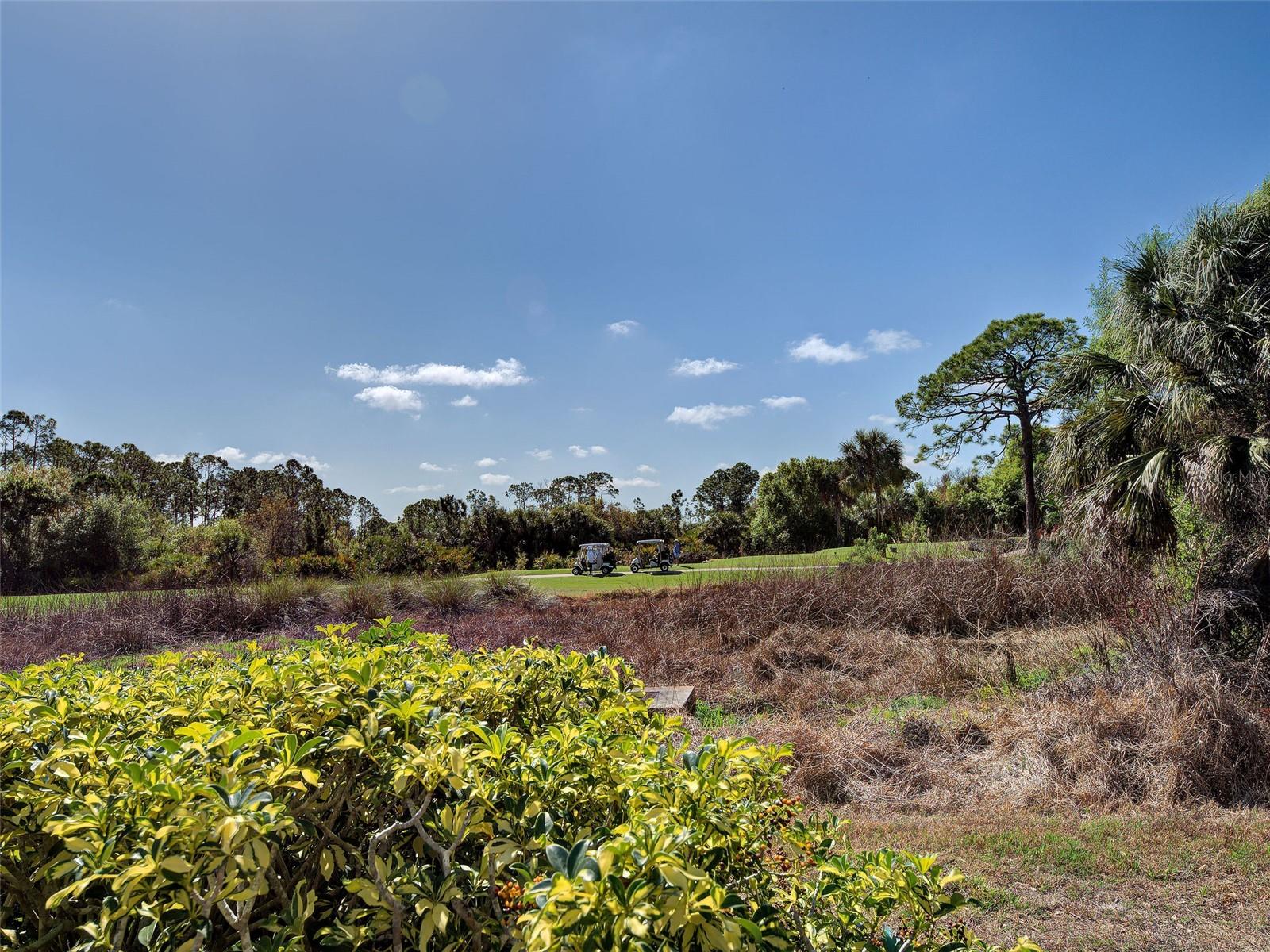 Image 53 of 77 For 311 Lansbrook Drive