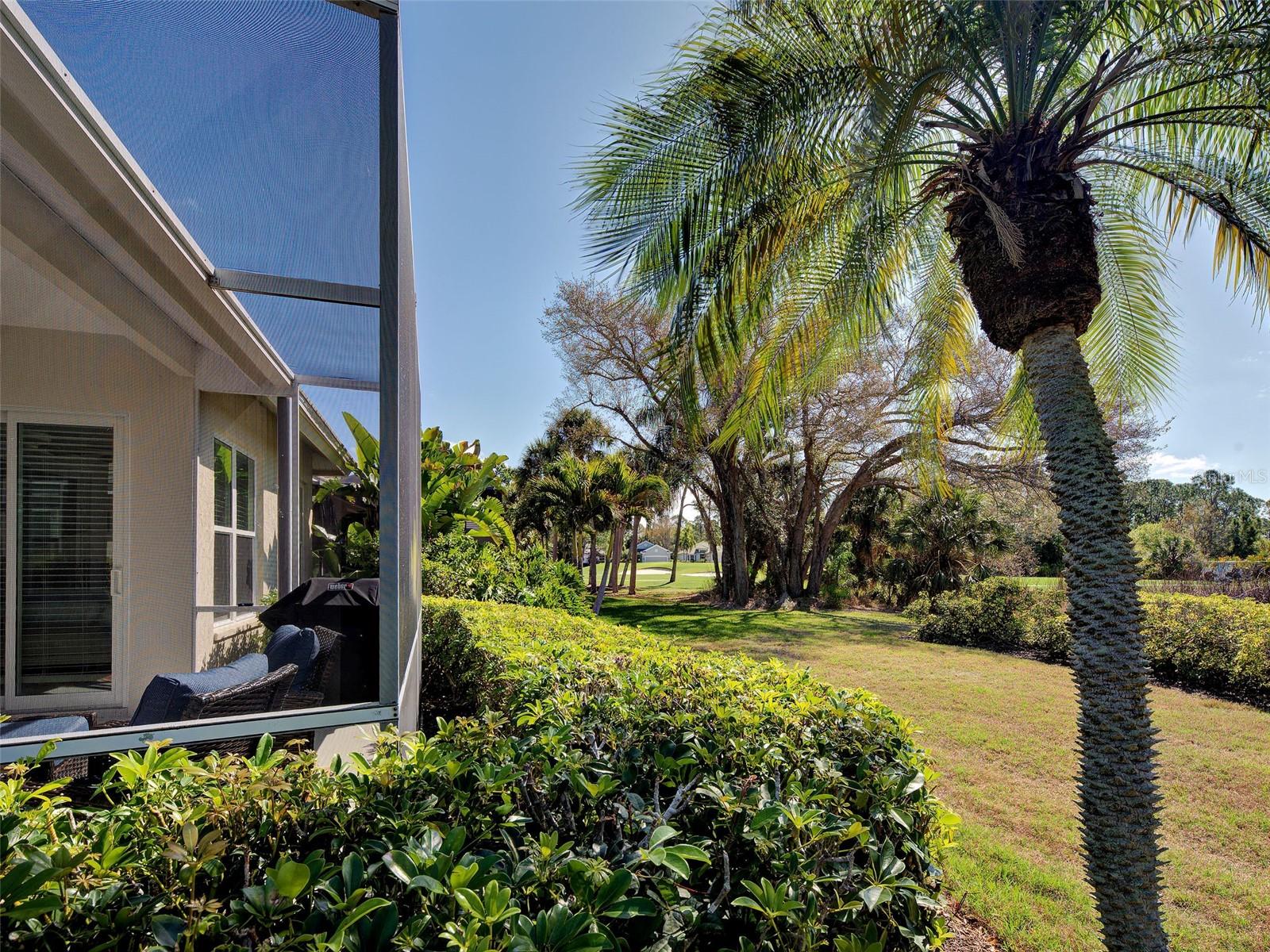 Image 54 of 77 For 311 Lansbrook Drive