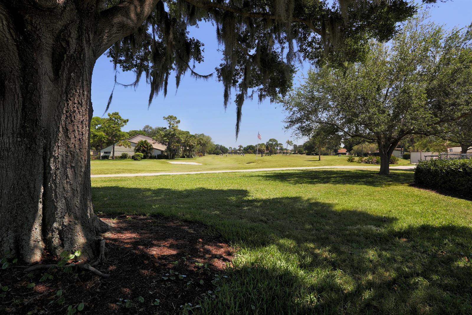 Image 32 of 75 For 618 Bird Bay Drive S 216