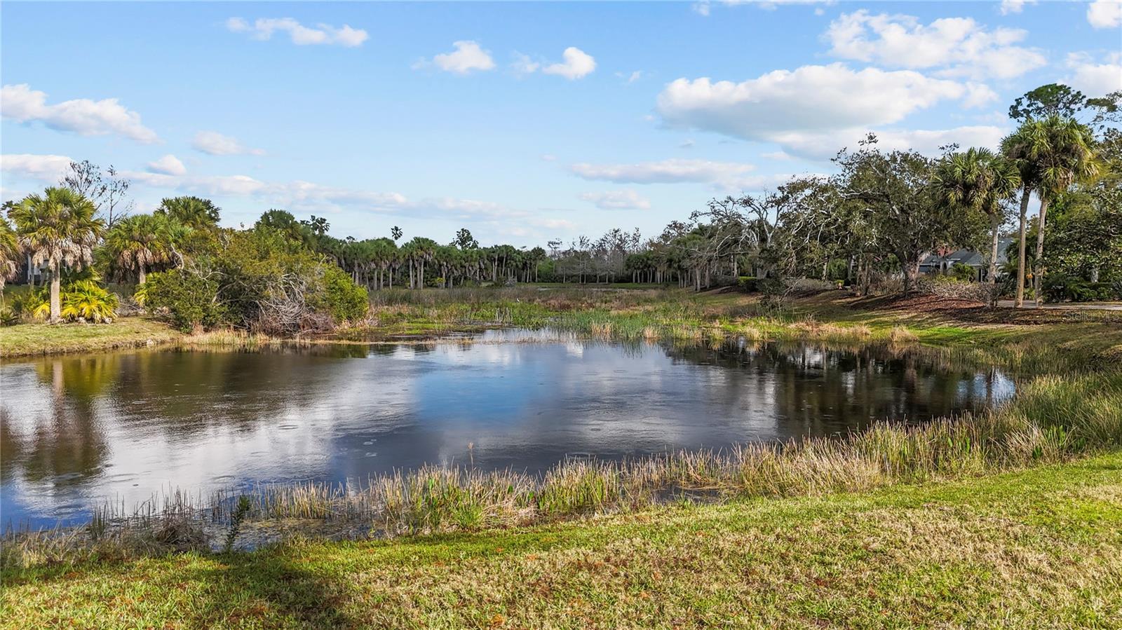 Image 54 of 83 For 1 Cayman Isles Boulevard