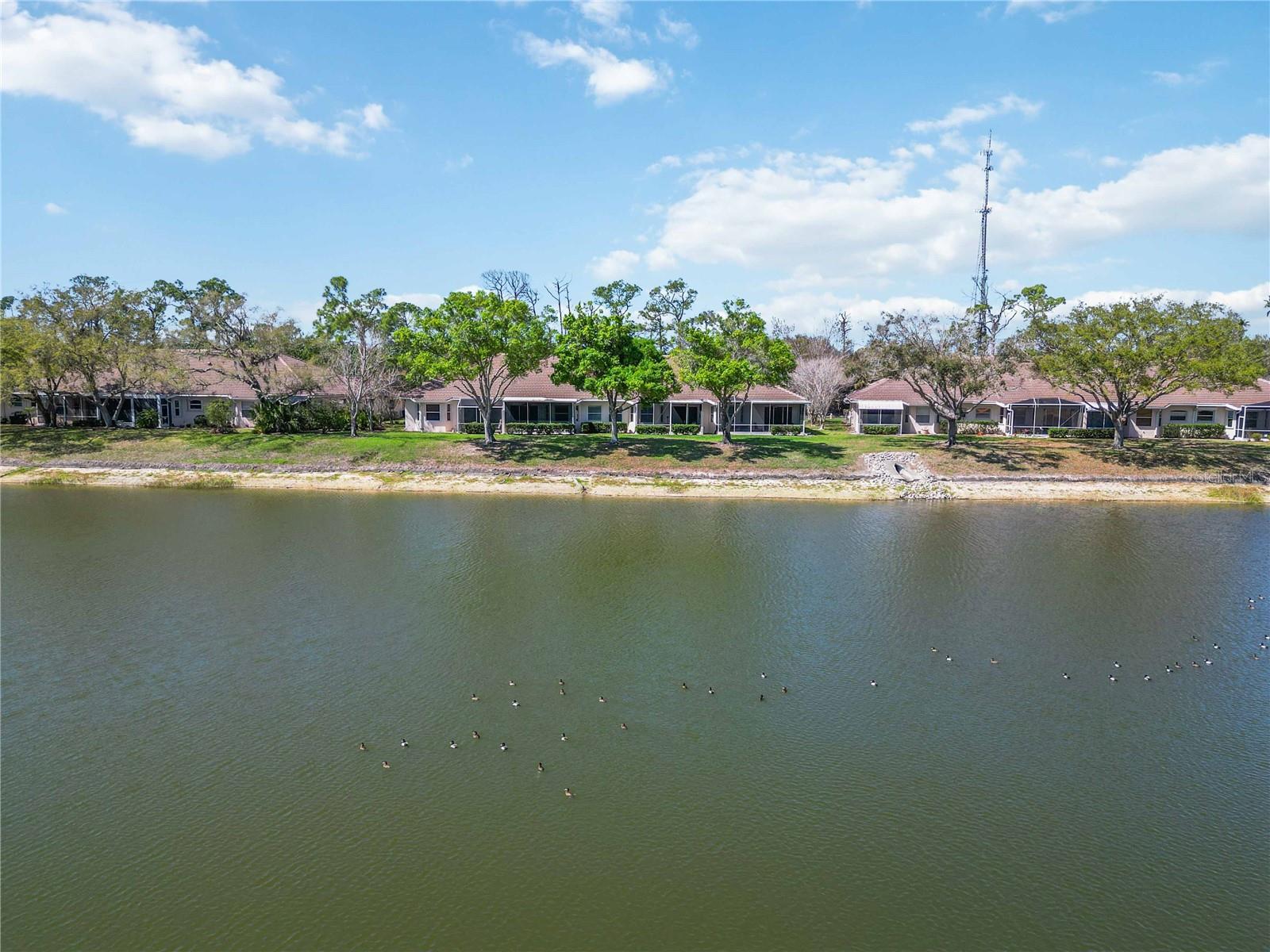 Image 63 of 76 For 2157 Lynx Run