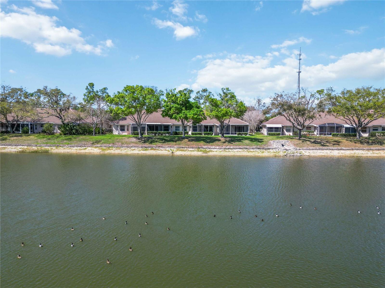 Image 64 of 76 For 2157 Lynx Run