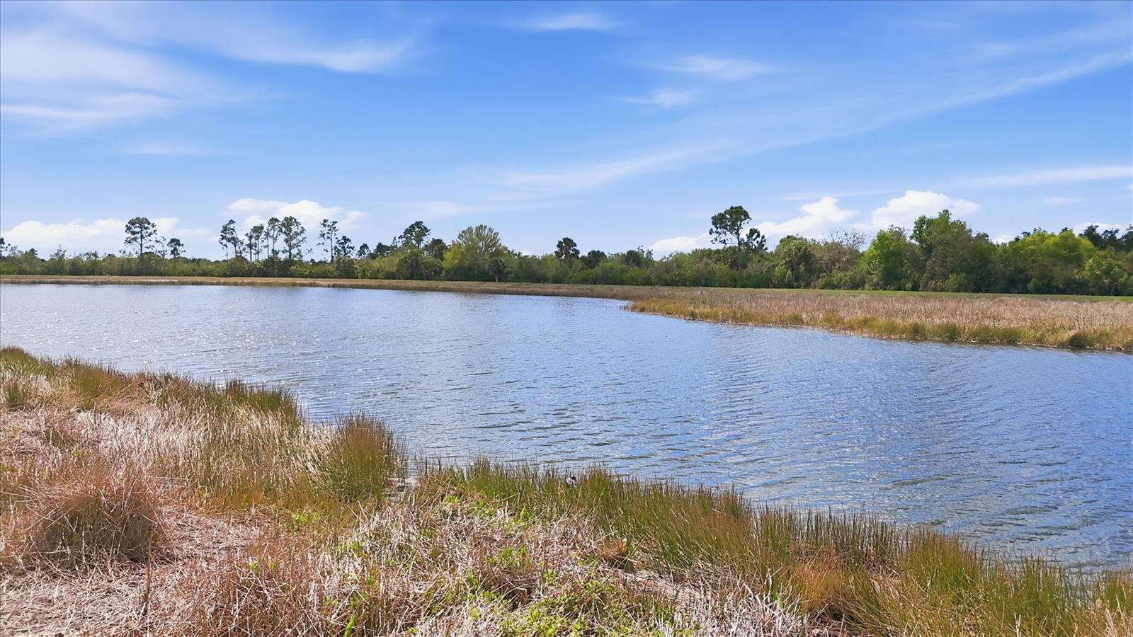 Image 17 of 100 For 10443 Medjool Drive