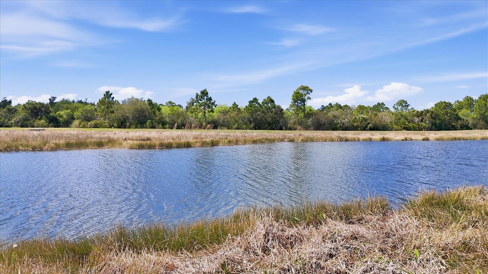 Image 19 of 100 For 10443 Medjool Drive