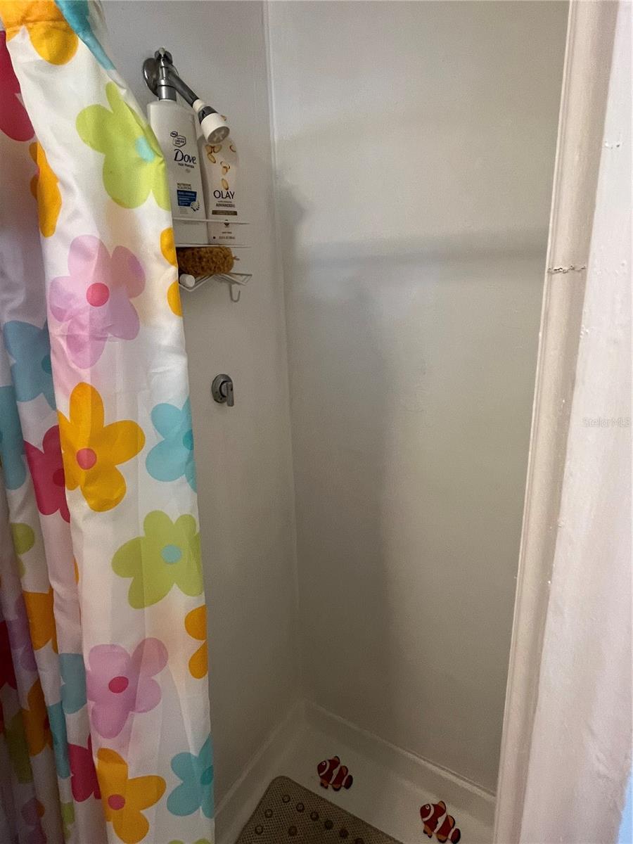 Image 29 of 31 For 113 Roma Road