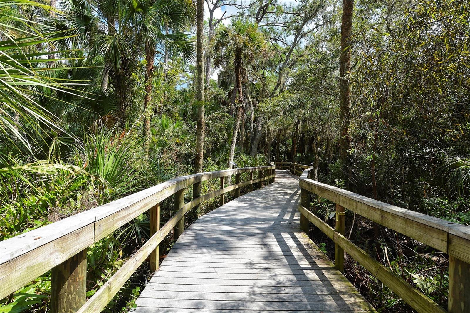 Image 62 of 91 For 194 Cipriani Way