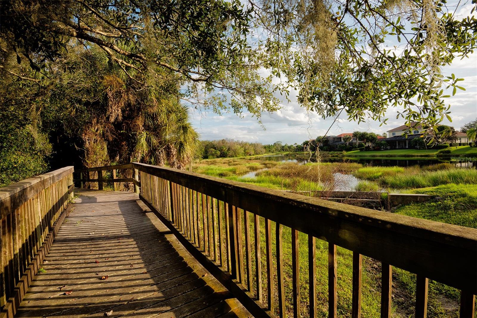 Image 66 of 91 For 194 Cipriani Way